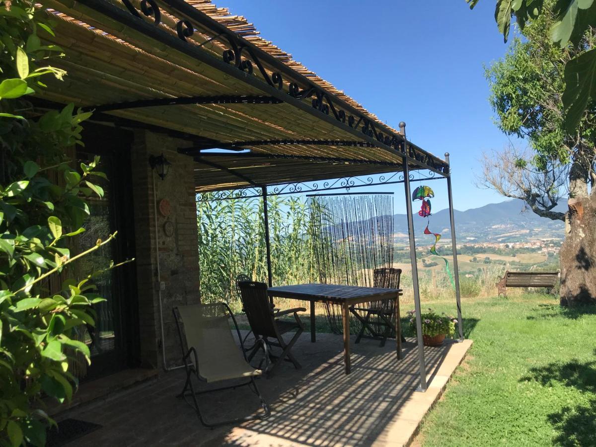 Podere Porcino Civitella dʼAgliano Extérieur photo