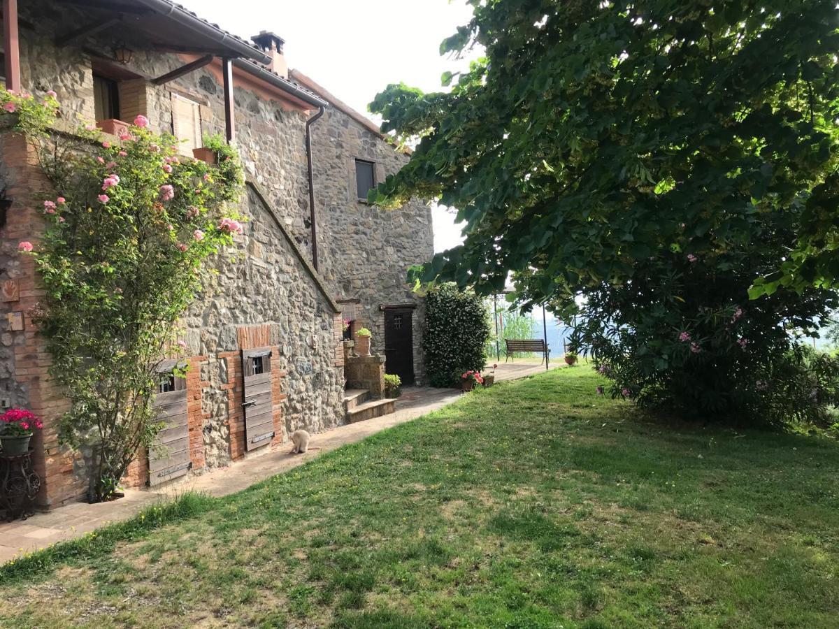 Podere Porcino Civitella dʼAgliano Extérieur photo