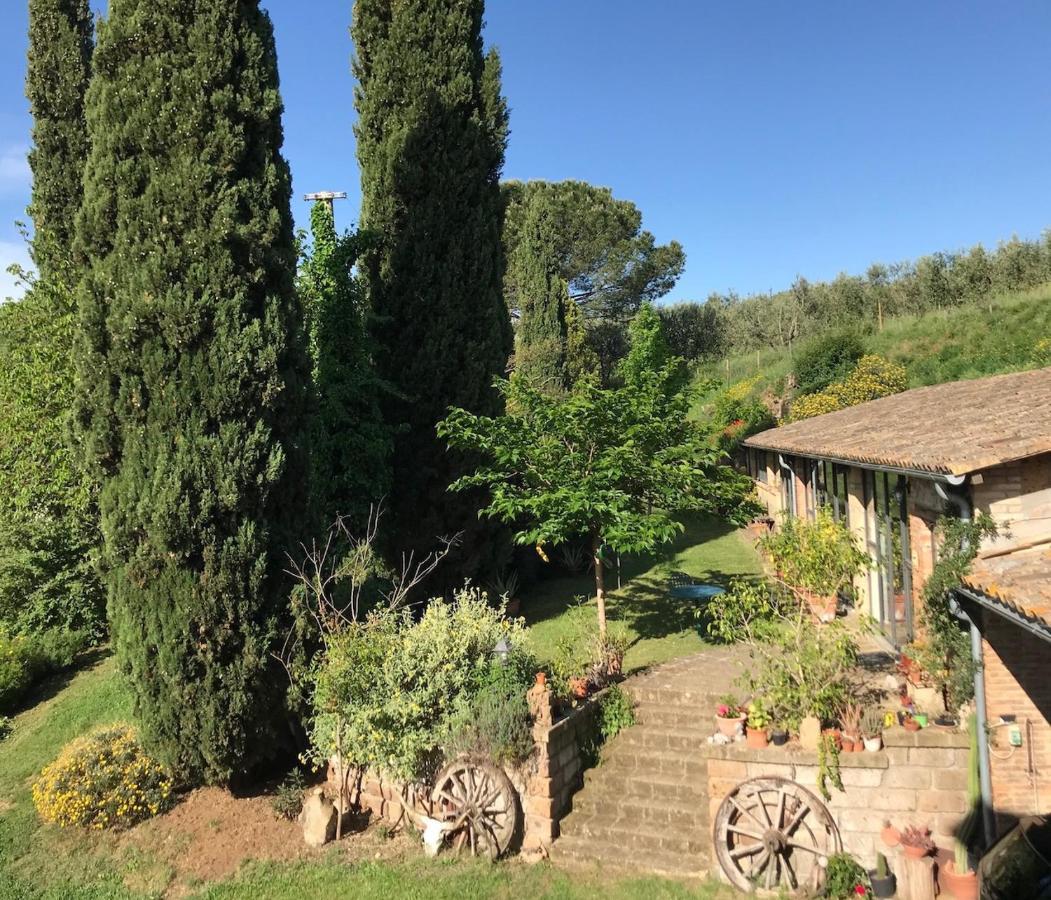 Podere Porcino Civitella dʼAgliano Extérieur photo