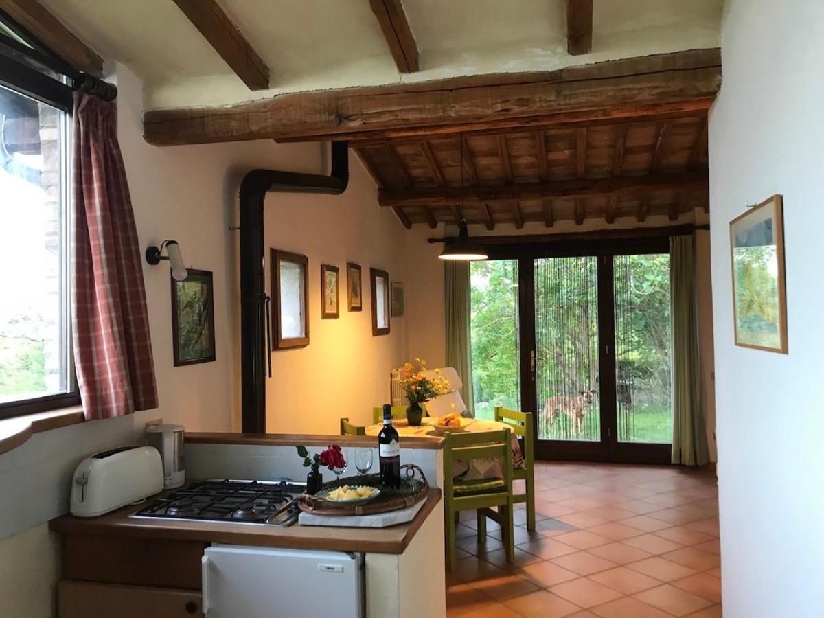 Podere Porcino Civitella dʼAgliano Extérieur photo