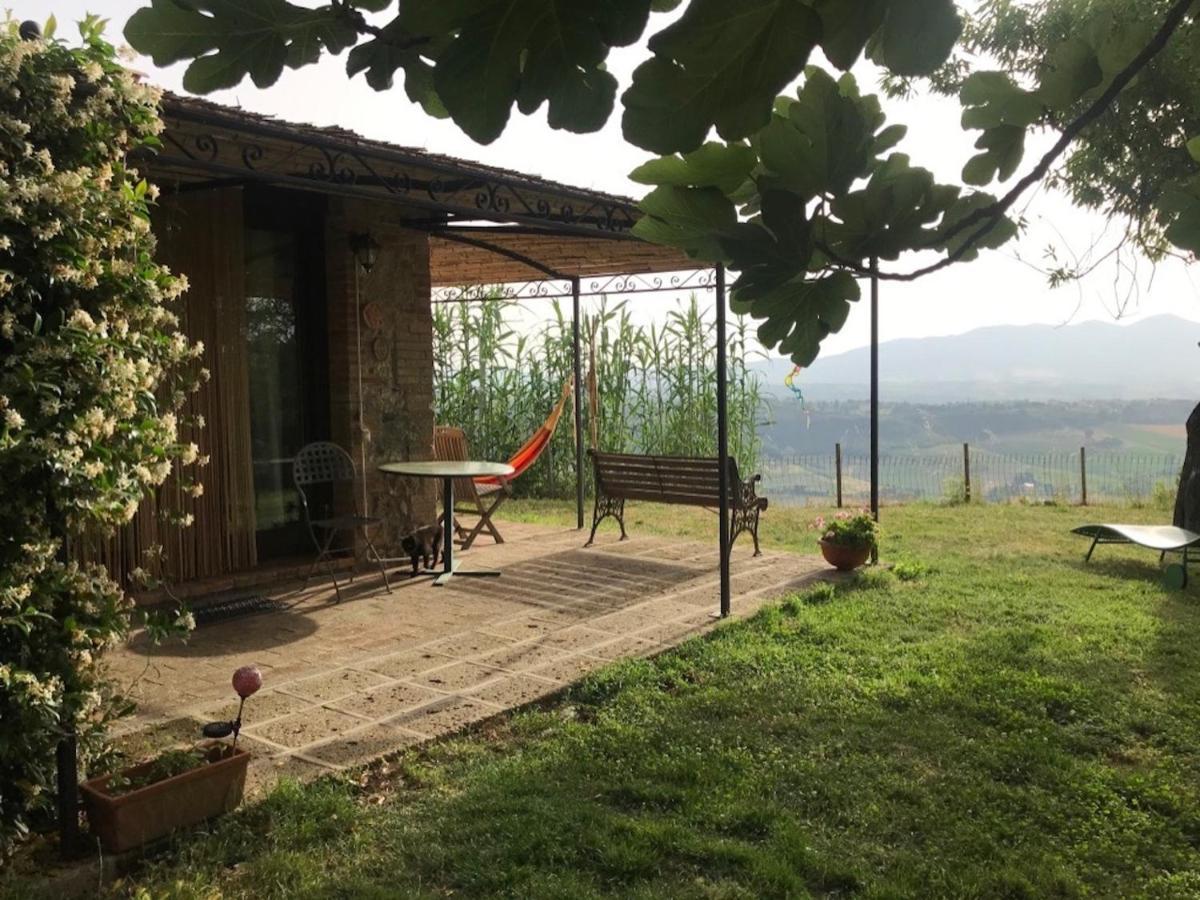 Podere Porcino Civitella dʼAgliano Extérieur photo