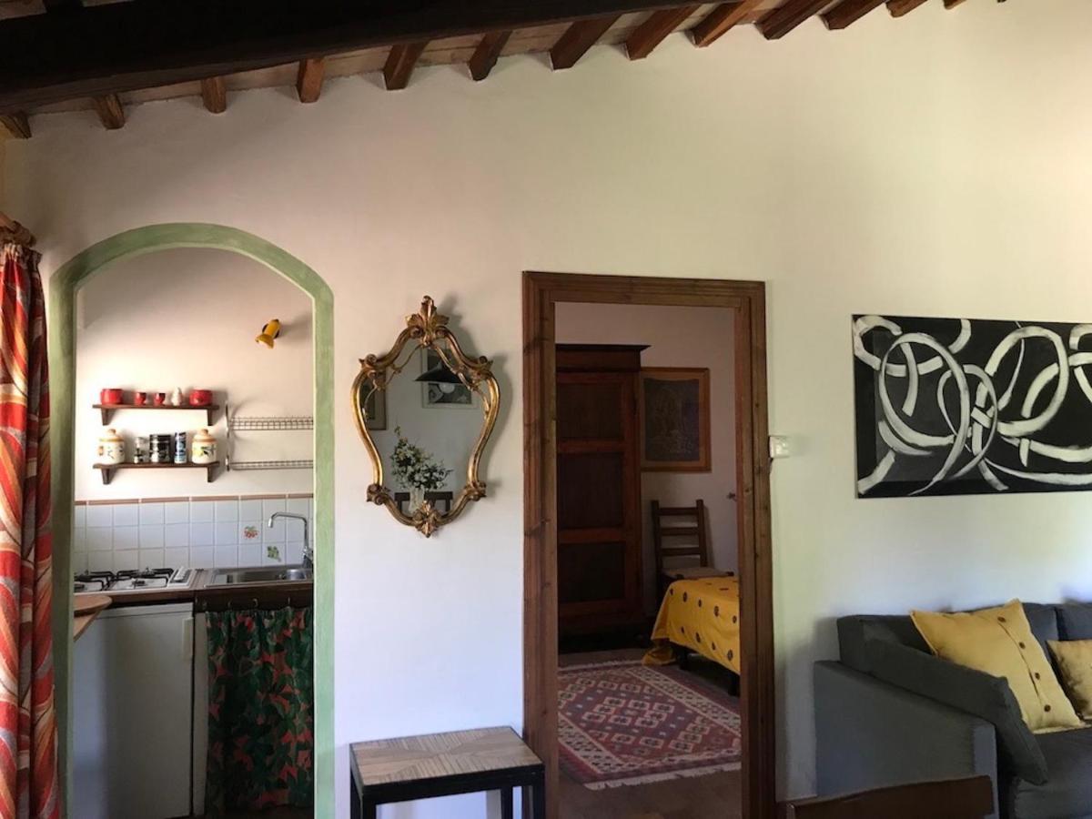 Podere Porcino Civitella dʼAgliano Extérieur photo