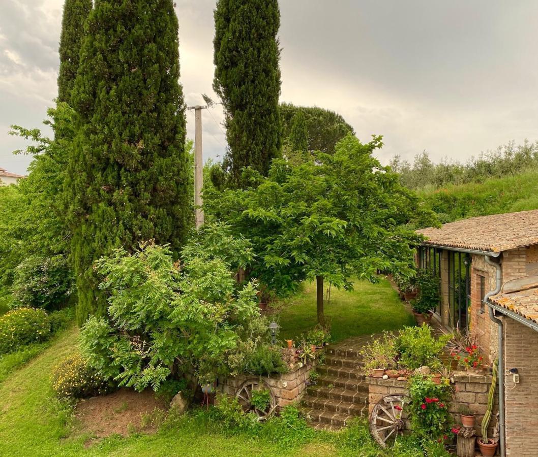 Podere Porcino Civitella dʼAgliano Extérieur photo