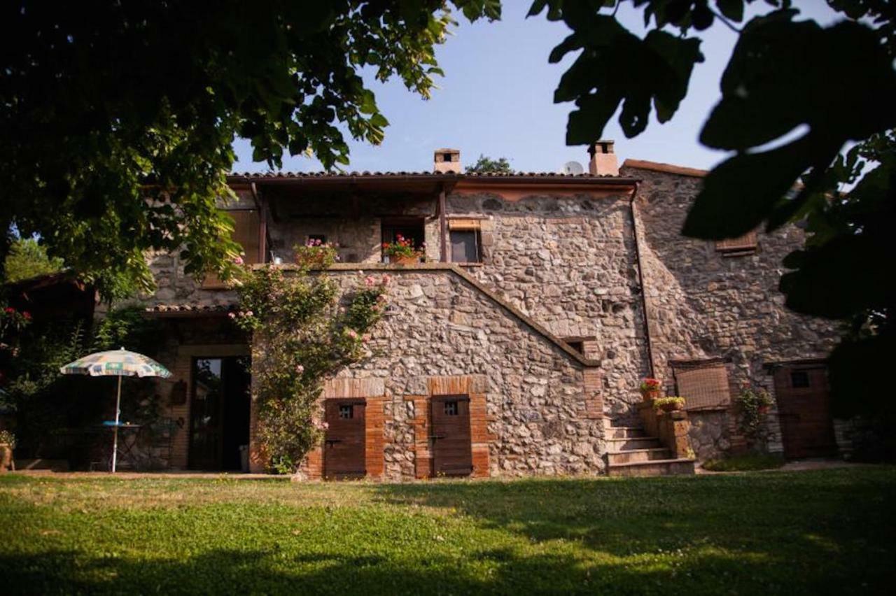 Podere Porcino Civitella dʼAgliano Extérieur photo