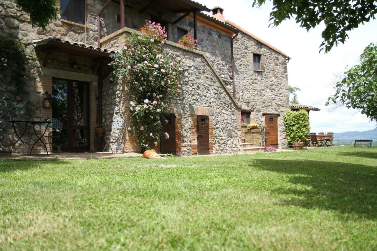 Podere Porcino Civitella dʼAgliano Extérieur photo