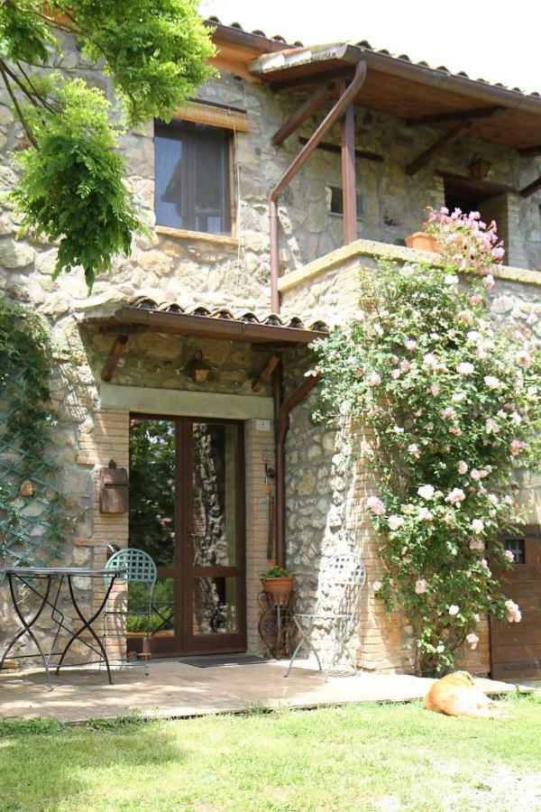 Podere Porcino Civitella dʼAgliano Extérieur photo