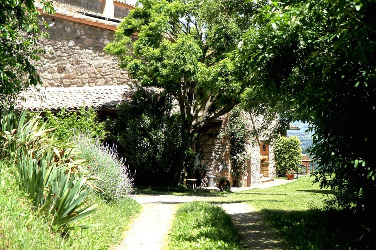 Podere Porcino Civitella dʼAgliano Extérieur photo