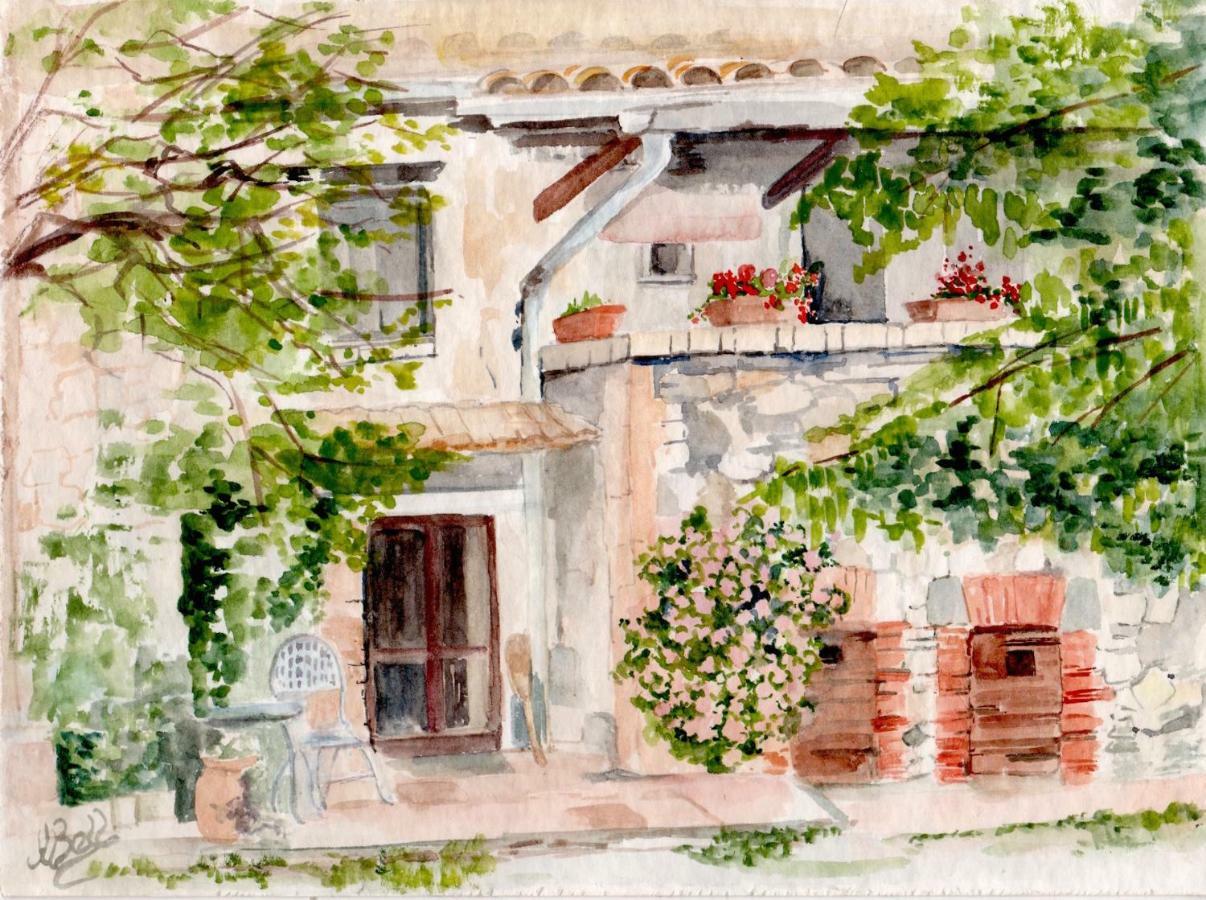 Podere Porcino Civitella dʼAgliano Extérieur photo