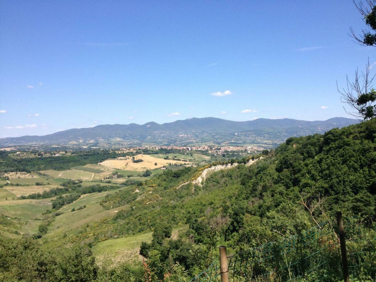 Podere Porcino Civitella dʼAgliano Extérieur photo