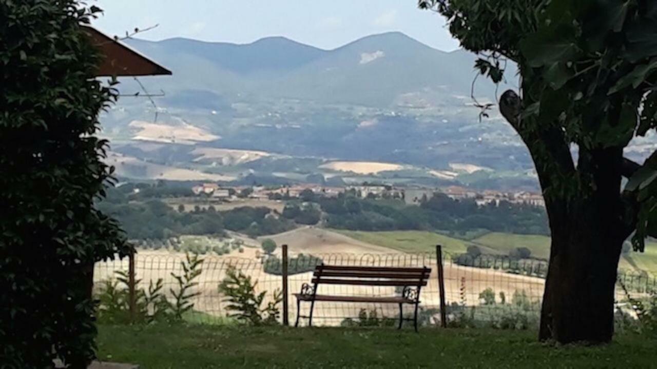 Podere Porcino Civitella dʼAgliano Extérieur photo