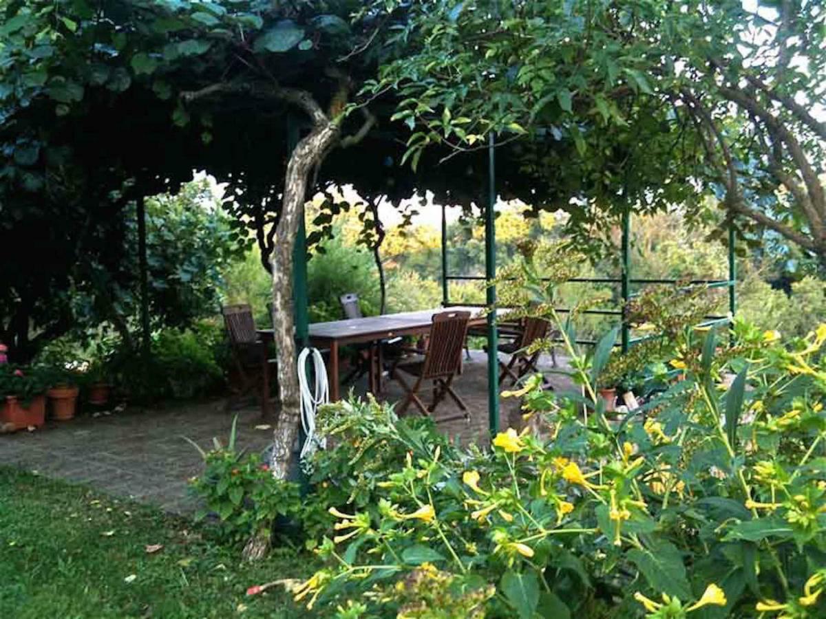 Podere Porcino Civitella dʼAgliano Extérieur photo