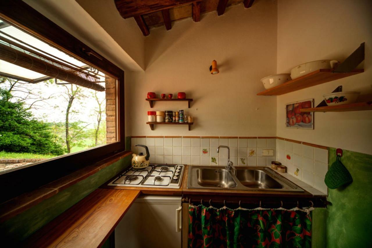 Podere Porcino Civitella dʼAgliano Extérieur photo